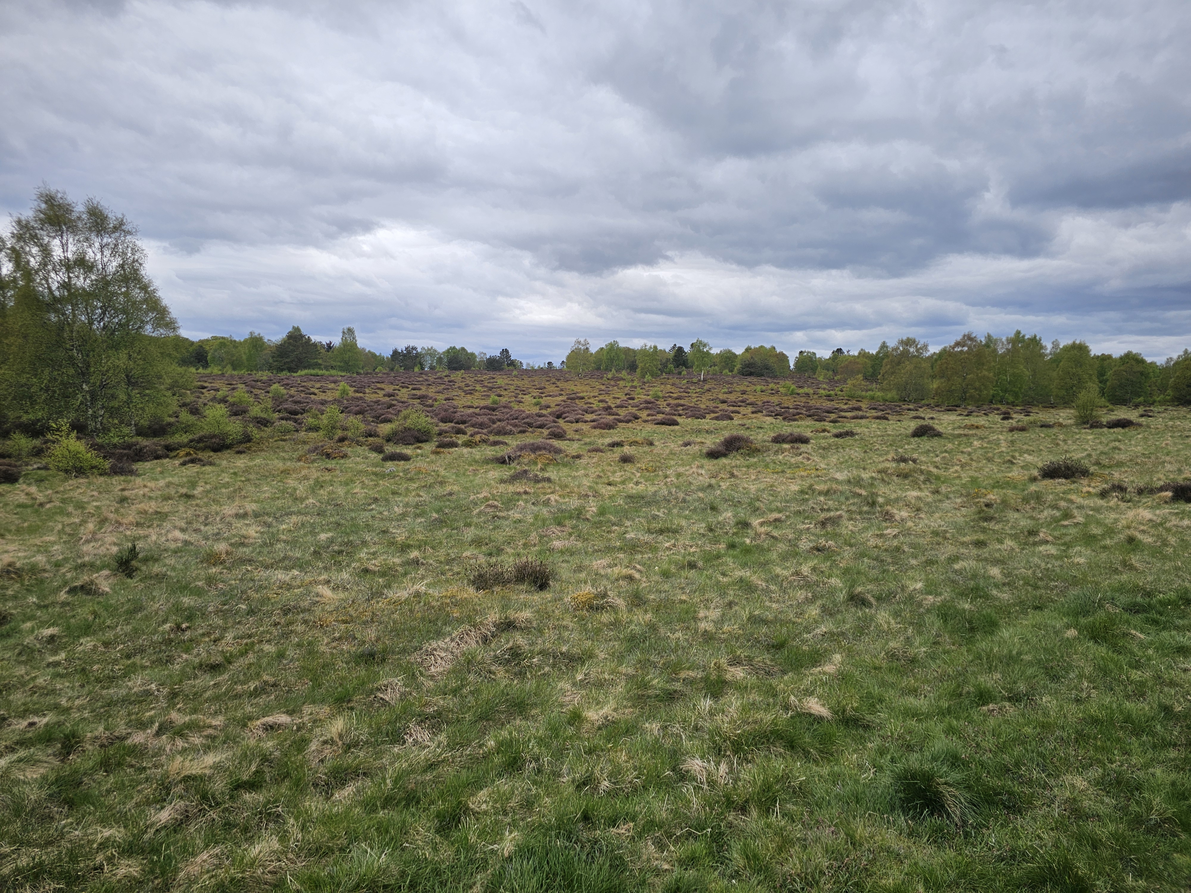 UK nature